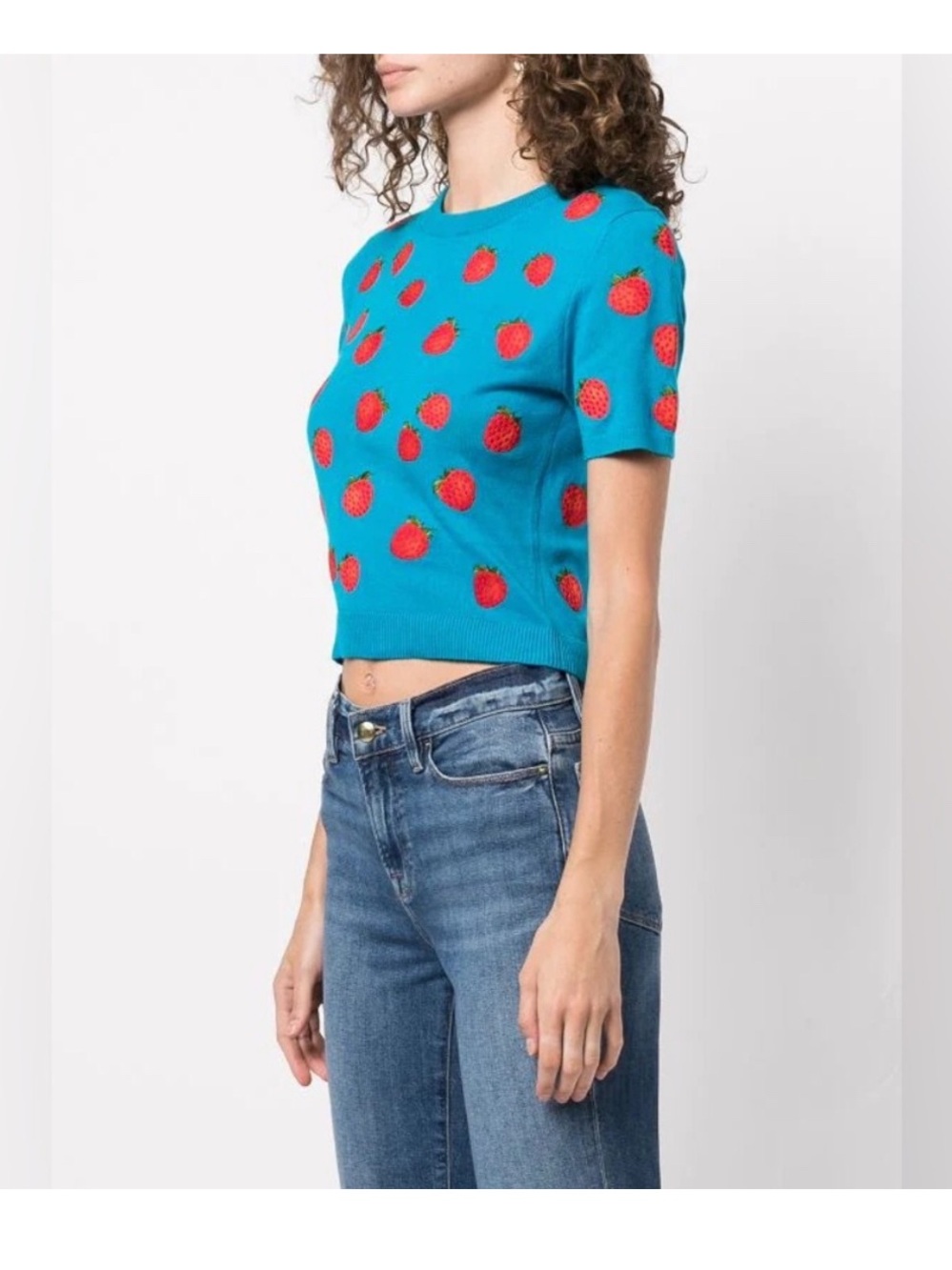 Alice and Olivia blue Ciara embroidered knit XS strawberry lightweight sweater